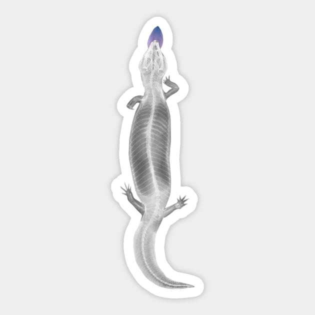 xray Blue tongue skink Sticker by Luilouu